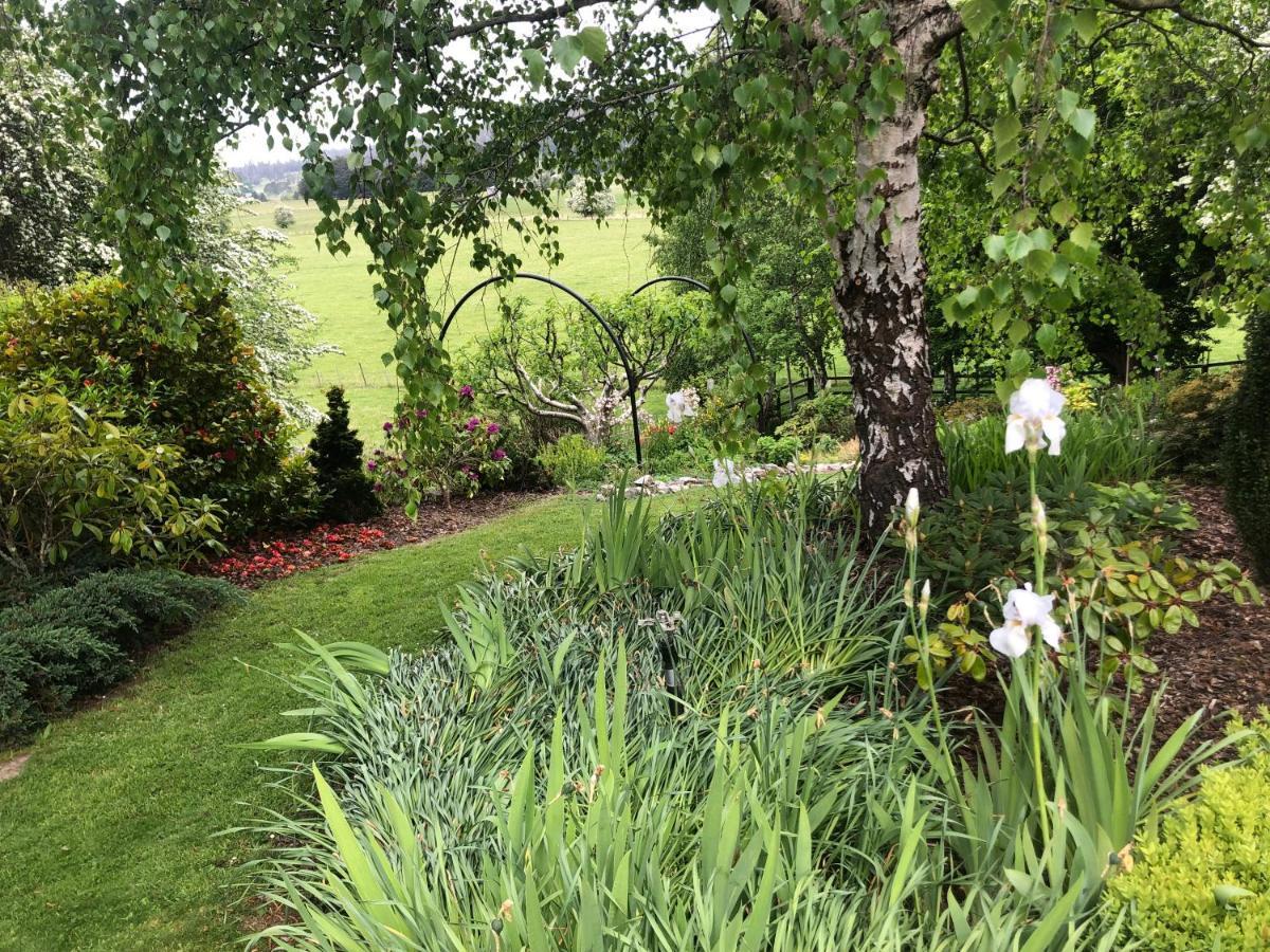 Mole Creek Hideaway Ξενοδοχείο Εξωτερικό φωτογραφία